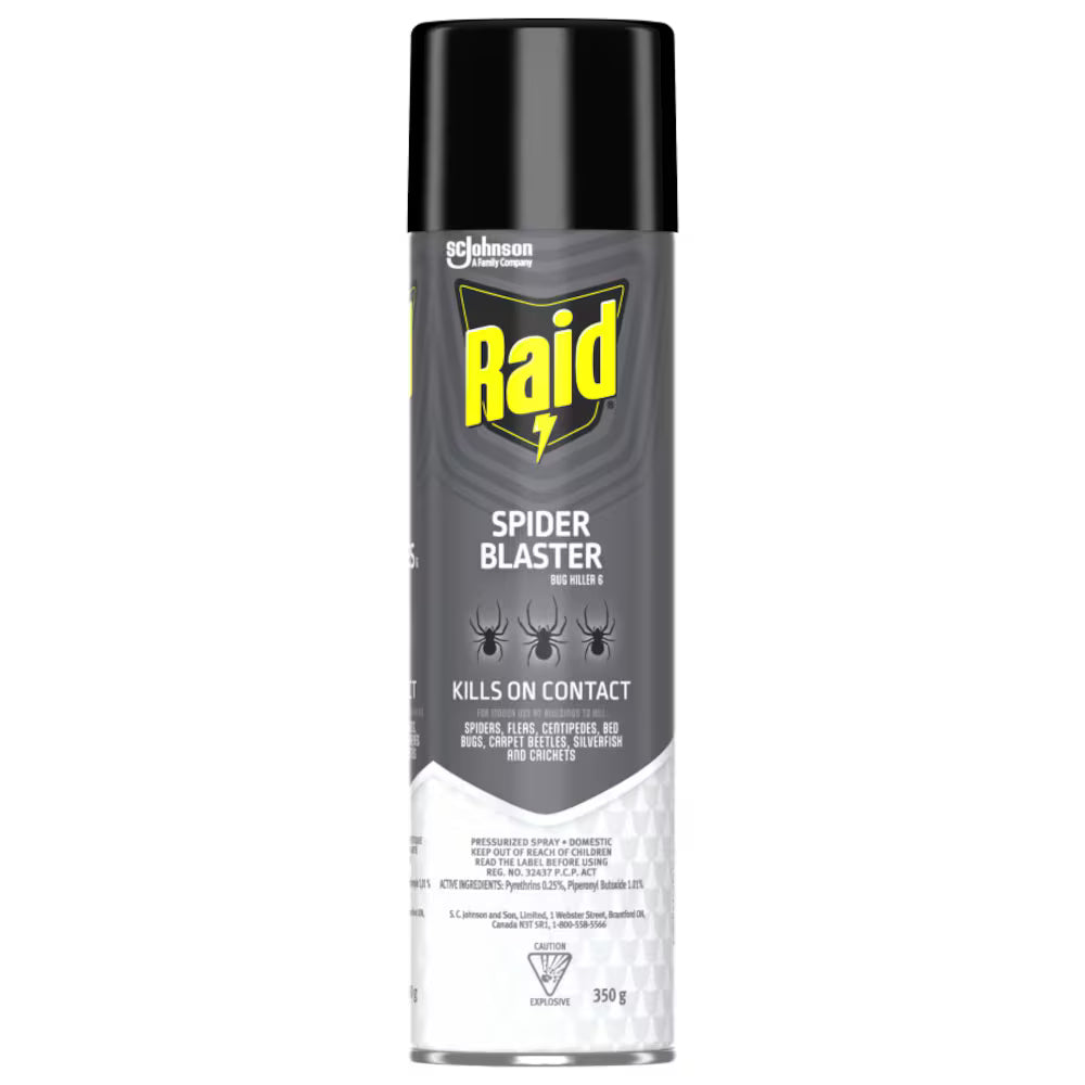 Raid Spider Blaster & Fly Bug Killer 350g