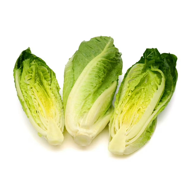 Romaine Heart Lettuce 3pk