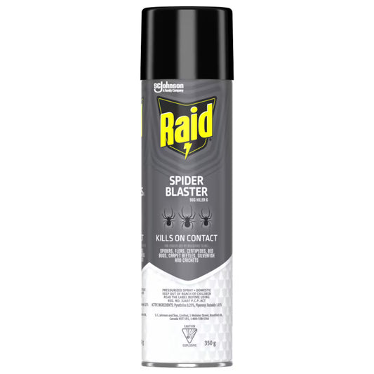 Raid Spider Blaster & Fly Bug Killer 350g