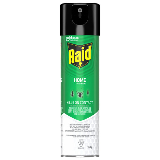 Raid Home Insect Killer 350g